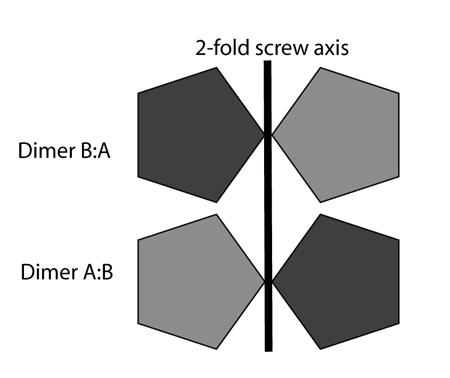 NCS schematic